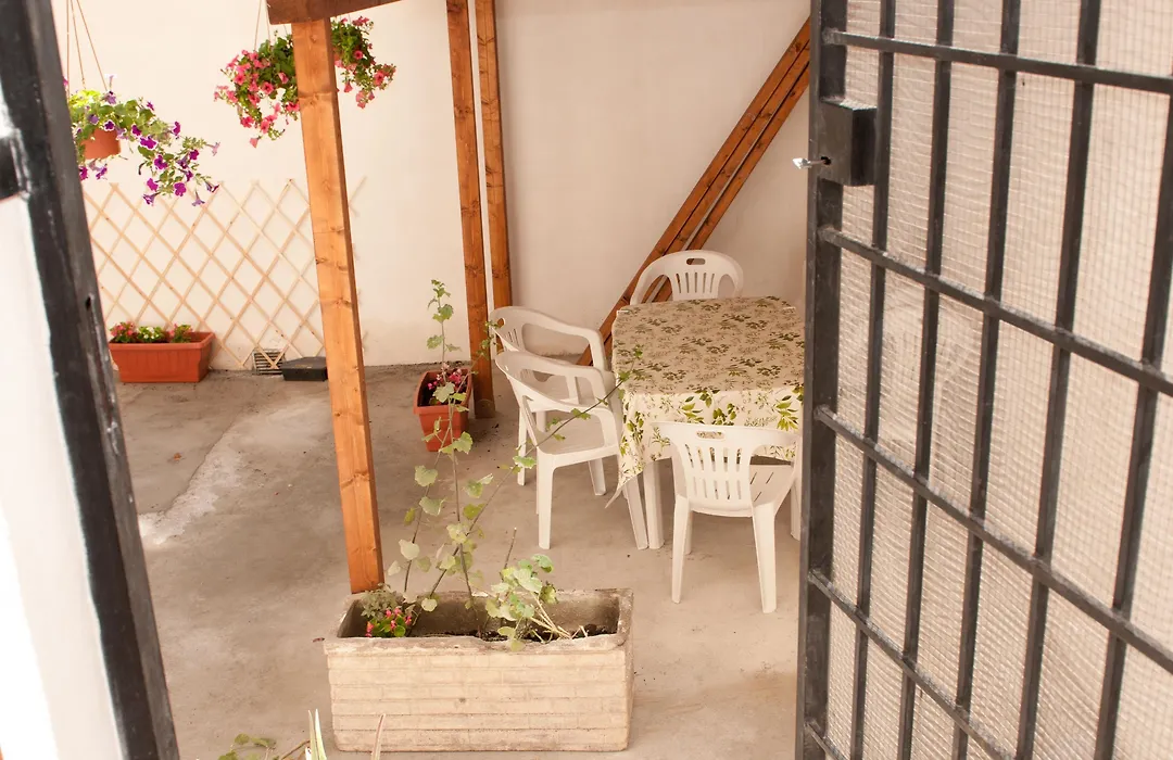 Dandi Domus-1